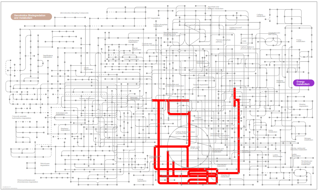 iPATH3