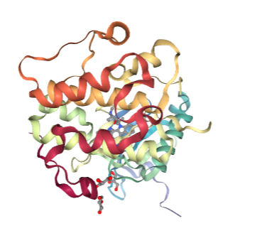 PDB