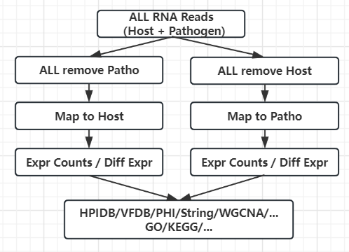 dualRNA