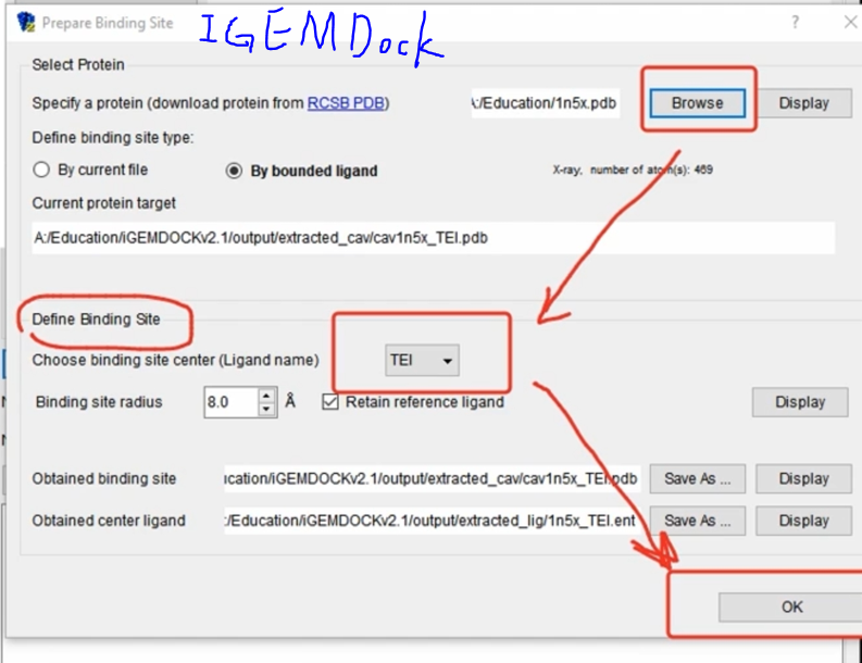 iGEMDOCK