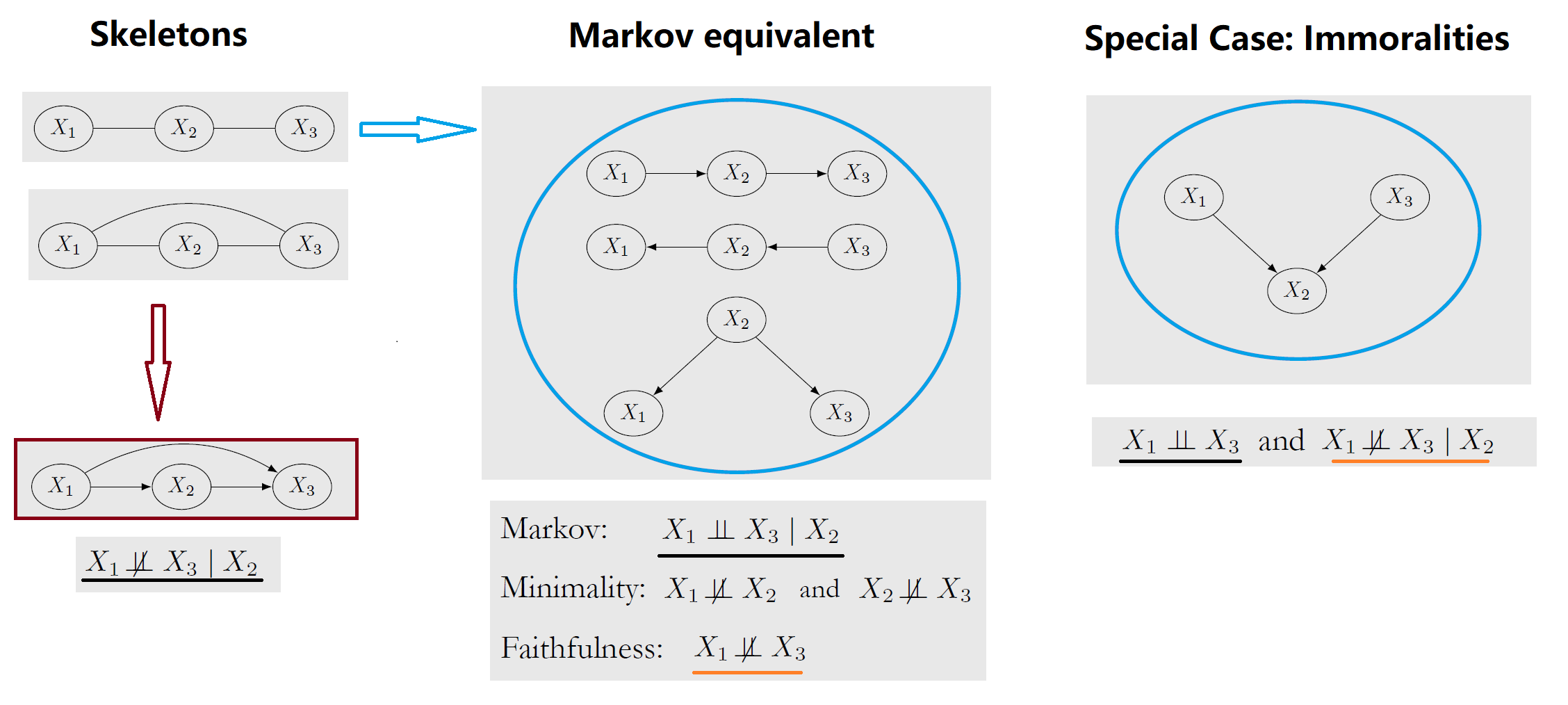 Skeletons to Markov equivalents