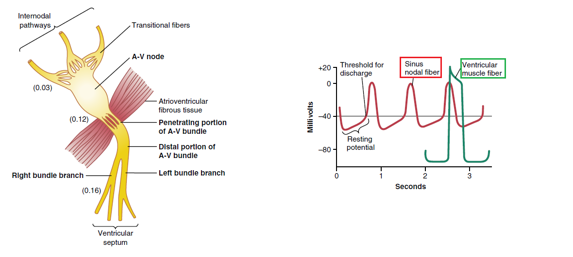 Figure 10-3