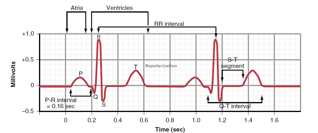 Figure 11-1