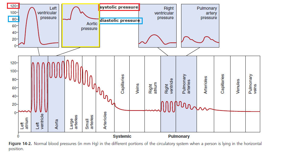 Blood Pressure