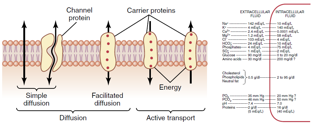 Figure 4-2