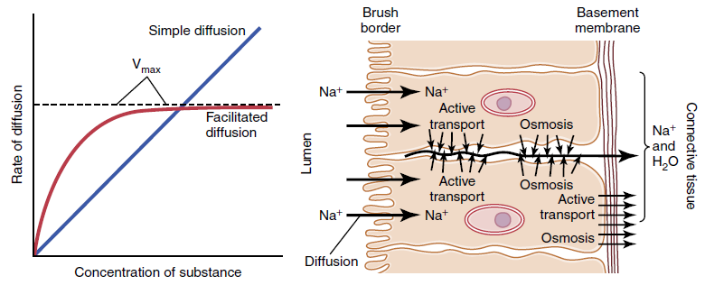 Figure 4-7