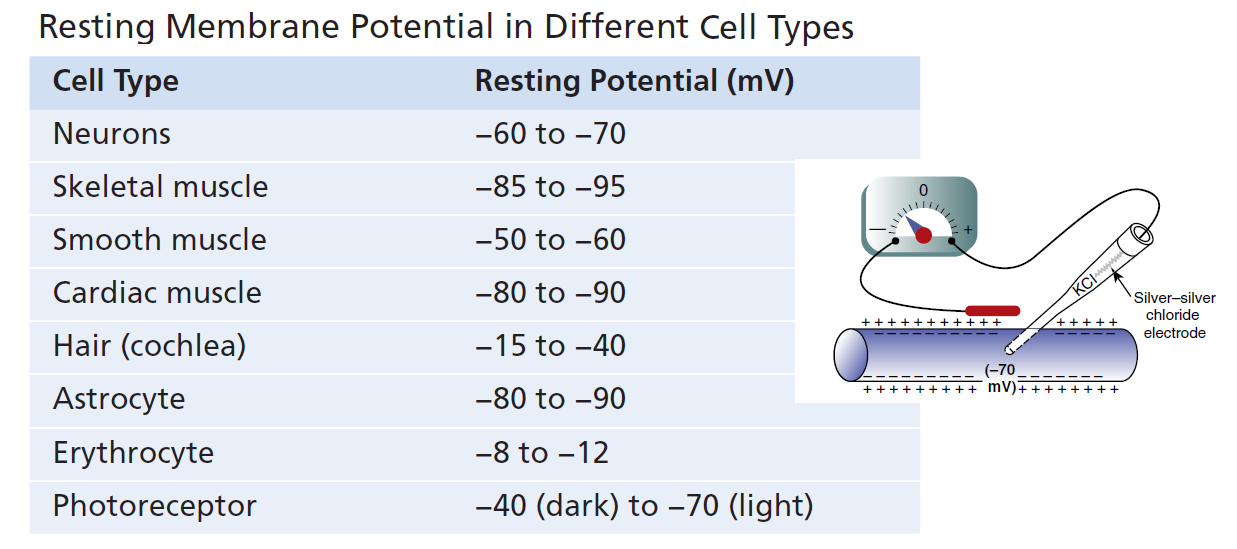 Figure 5-1