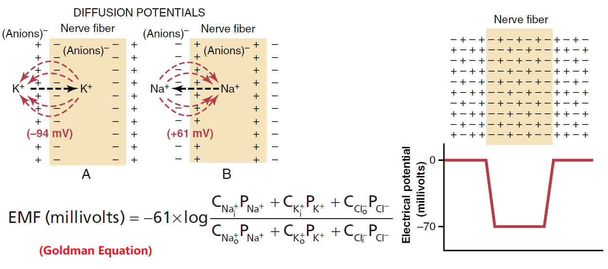 Figure 5-3