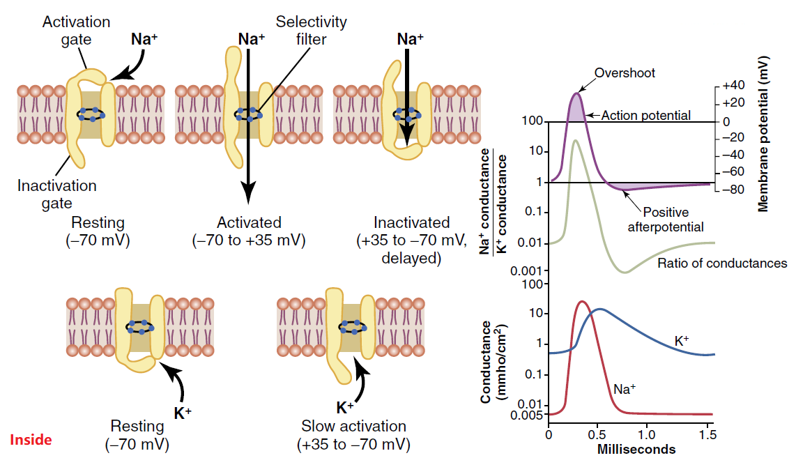 Figure 5-7