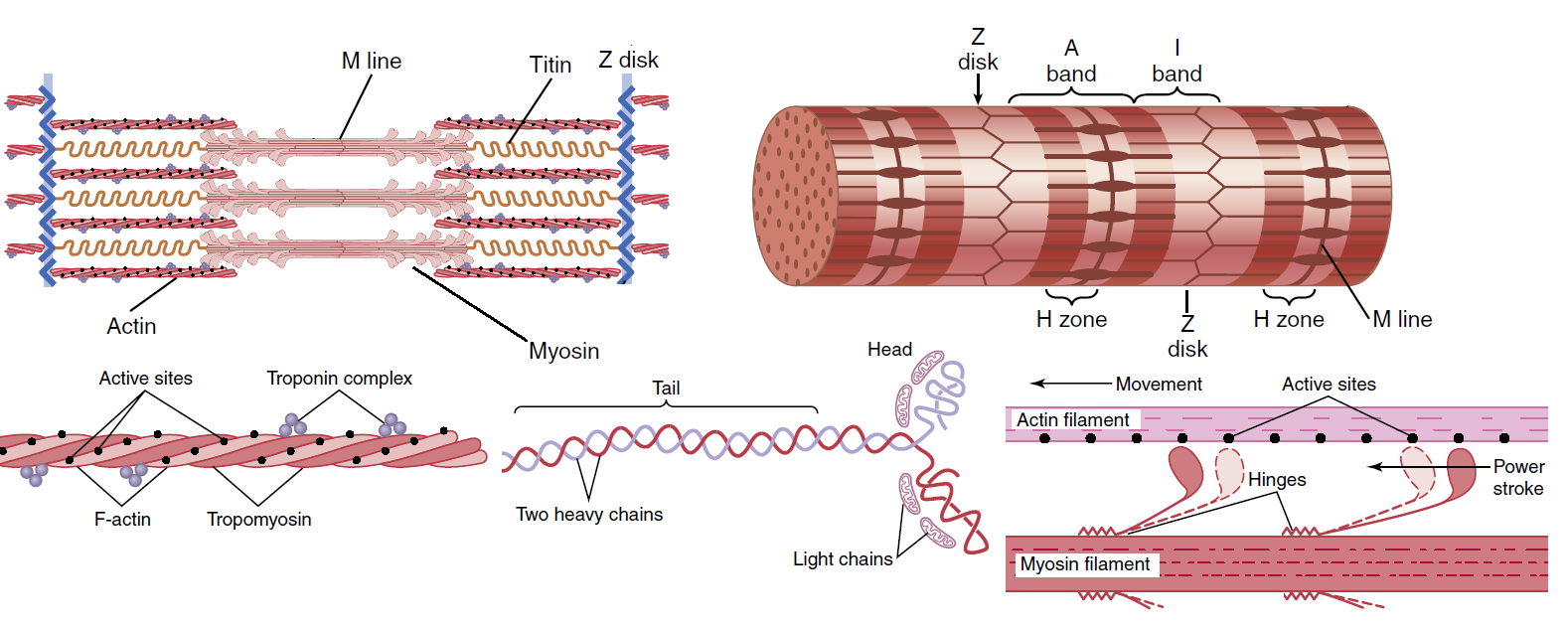 Figure 6-3