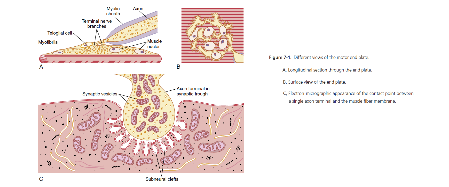 Figure 7-1
