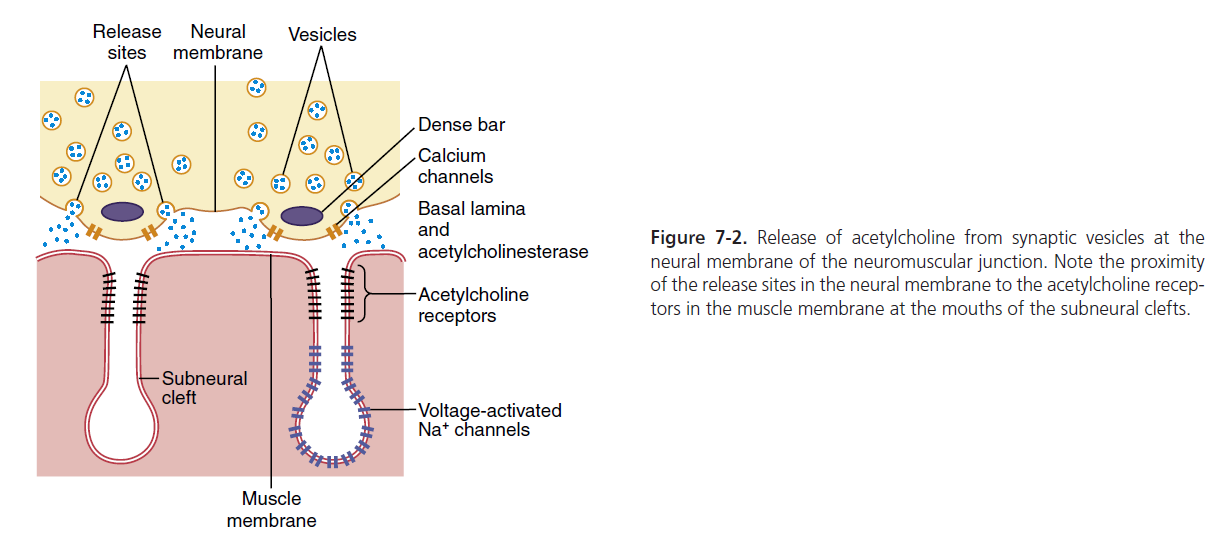 Figure 7-2